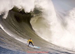 看球通-火箭队最新数据统计及球员表现深度分析