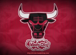 看球通-办公室内配置健身器材的实用建议与案例分析