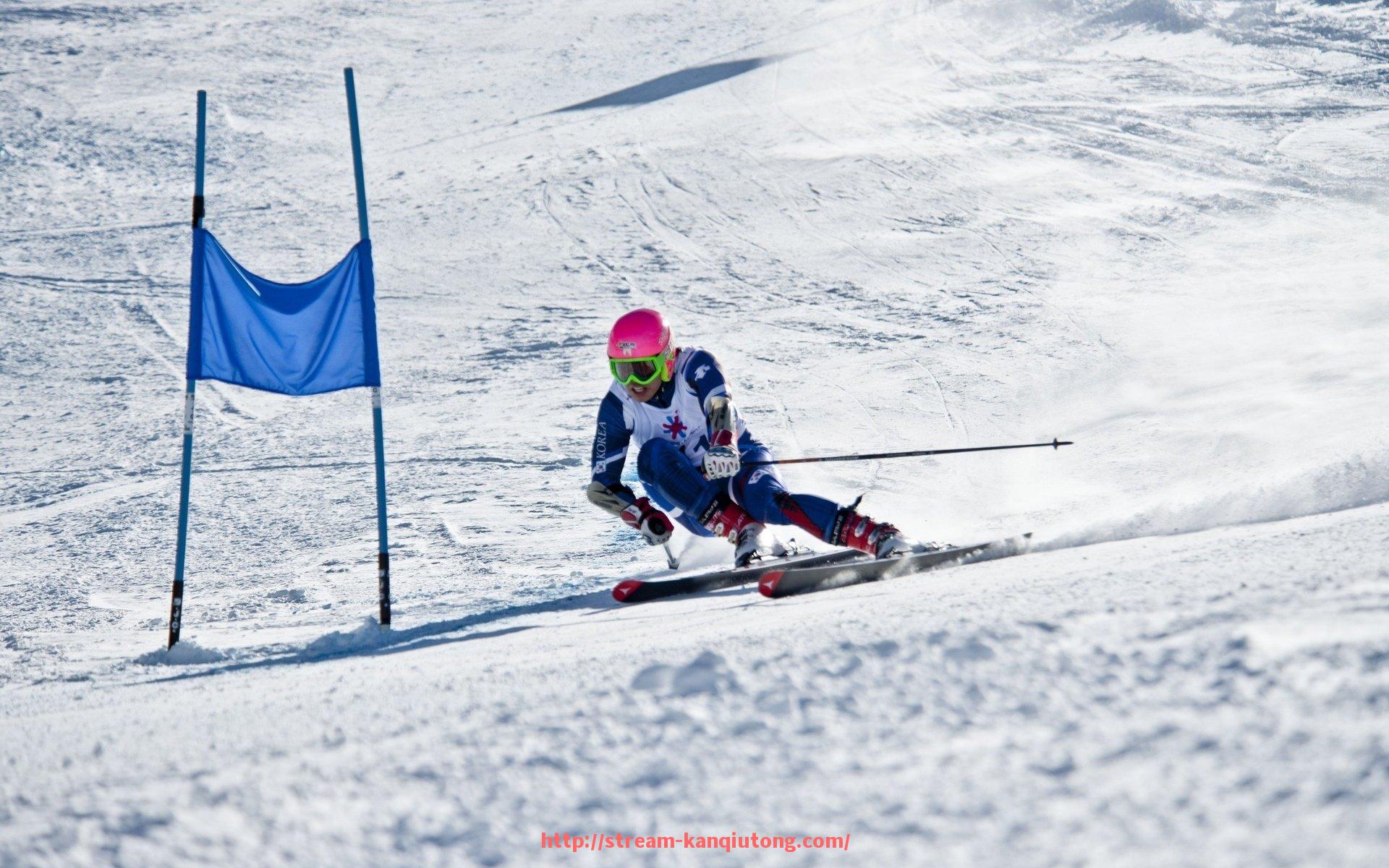 看球通-家用减脂健身器材排行榜，体育健身入门优选方案