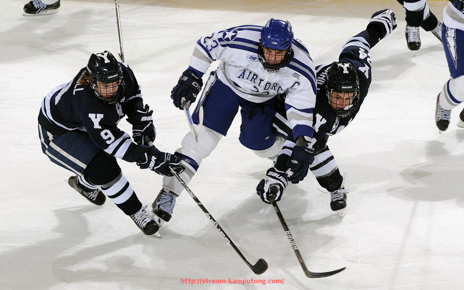 看球通-今晚CBA有哪些球队参赛？赛前看点与预测